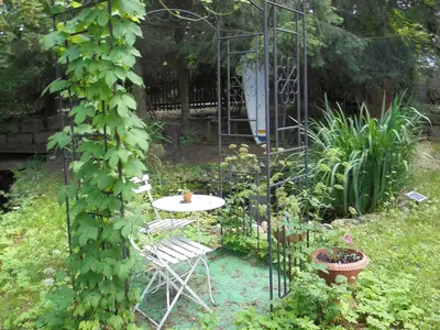 Appartement für 10 Personen in Weiden (Oberpfalz) 5/5