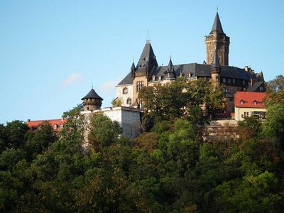 Appartement für 4 Personen (32 m²) in Wernigerode 8/10