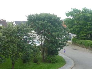 18719268-Appartement-2-Westerland (Sylt)-300x225-4