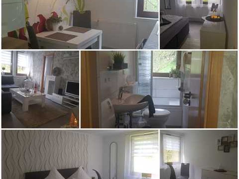 22368571-Appartement-4-Wildemann-800x600-2