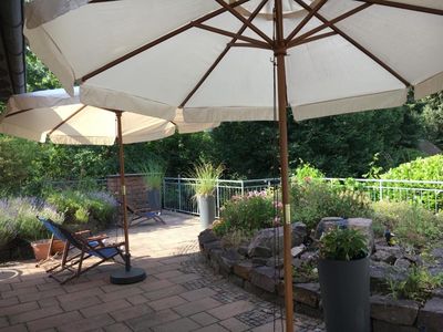 Terrasse mit Liegestühlen