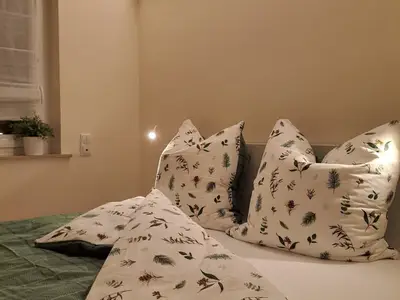 Appartement für 4 Personen (60 m²) in Winterberg 8/10