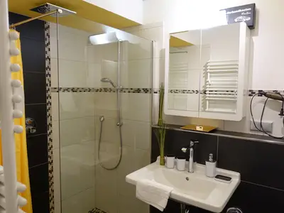Appartement für 2 Personen (42 m²) in Winterberg 5/10
