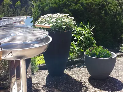 Appartement für 4 Personen (60 m²) in Winterberg 5/10