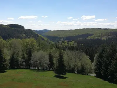 Appartement für 5 Personen (40 m²) in Winterberg 4/10