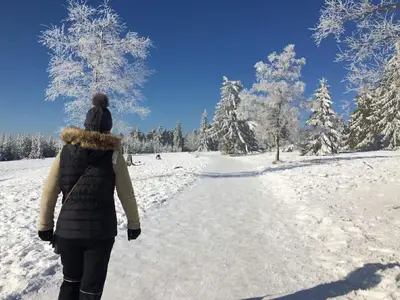 Appartement für 4 Personen (60 m²) in Winterberg 4/10