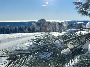Appartement für 4 Personen (60 m²) in Winterberg
