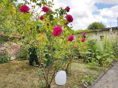 Appartement für 4 Personen (50 m²) in Wolgast 4/10