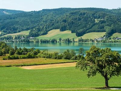 Appartement für 6 Personen (80 m²) in Zell am Moos 2/10