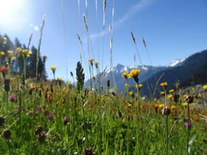 19361890-Appartement-5-Zell am Ziller-300x225-3