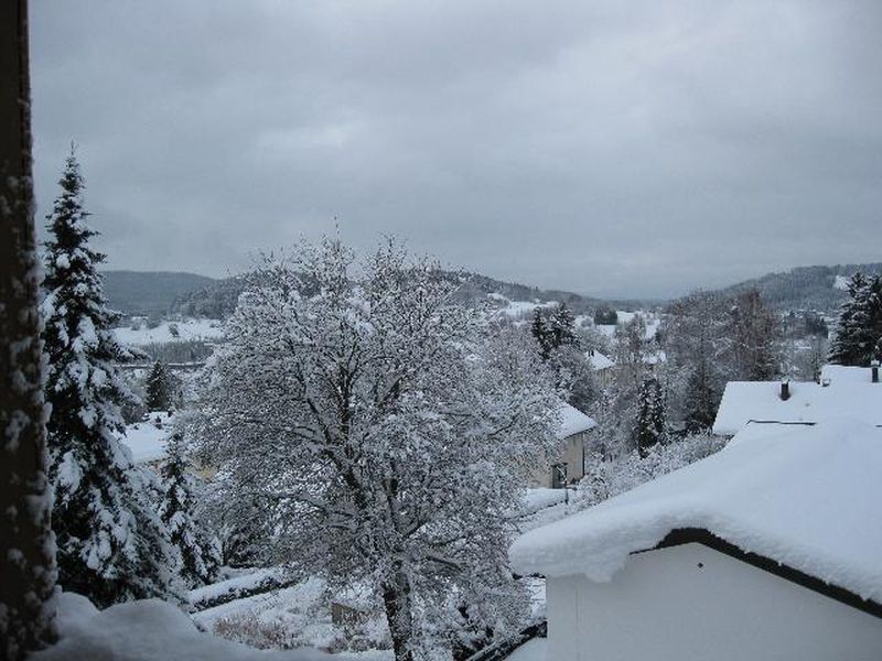 19316273-Appartement-2-Zwiesel-800x600-2