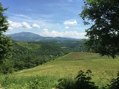 ViewSummer