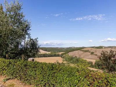 ViewSummer