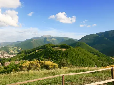 ViewSummer