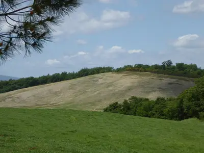 ViewSummer