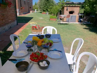 GardenSummer