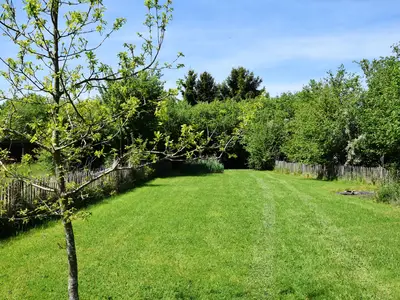GardenSummer