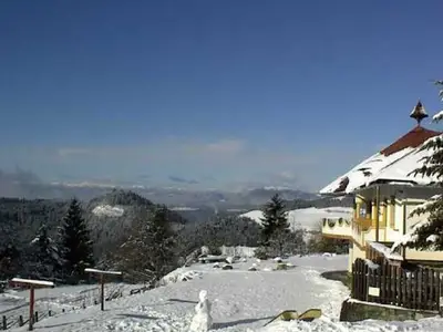 Bauernhof für 5 Personen in Eberstein 2/10