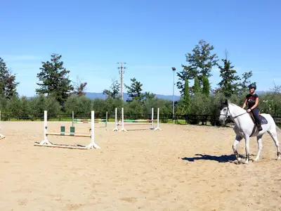 Facilities