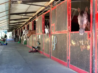 Facilities