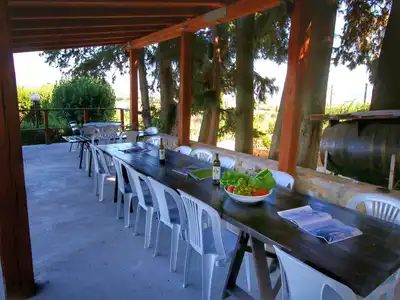 TerraceBalcony