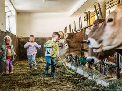 Bauernhof für 3 Personen (25 m²) in Haus (Steiermark) 10/10