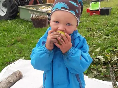 Bauernhof für 3 Personen (19 m²) in Haus (Steiermark) 4/10