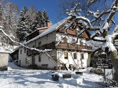 Bauernhof für 4 Personen (60 m²) in Hermagor-Pressegger See 5/10