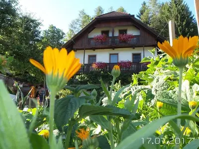 Bauernhof für 4 Personen (60 m²) in Hermagor-Pressegger See 10/10