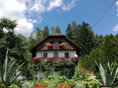 Bauernhof für 4 Personen (60 m²) in Hermagor-Pressegger See 3/10