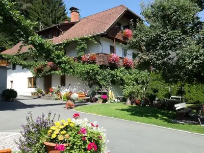 Bauernhof für 4 Personen (60 m²) in Hermagor-Pressegger See 2/10