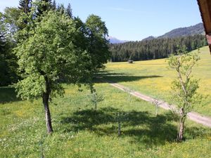 19336703-Bauernhof-9-Hopfgarten im Brixental-300x225-3