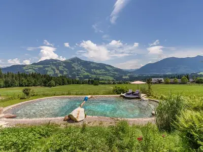 Bauernhof für 3 Personen (25 m²) in Hopfgarten im Brixental 8/10