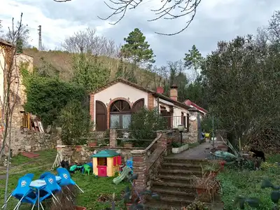 GardenSummer