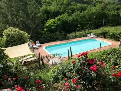 PoolOfHouse