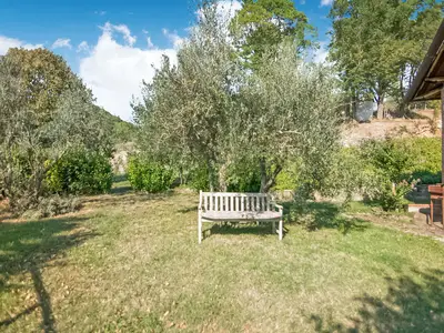 GardenSummer