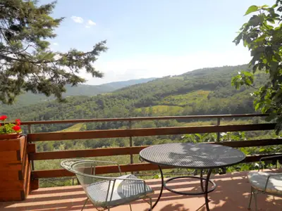ViewSummer
