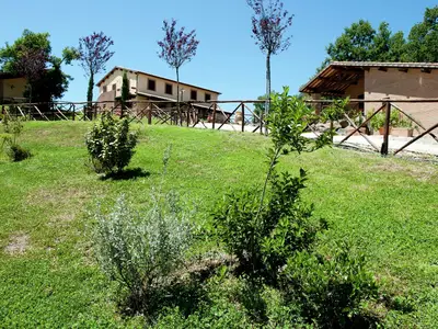 GardenSummer