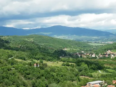 ViewSummer