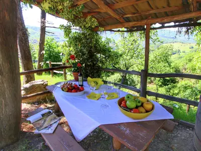 ViewSummer