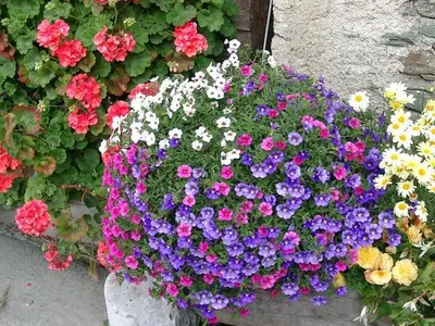 Bauernhof für 3 Personen (25 m²) in Rennweg am Katschberg 3/10