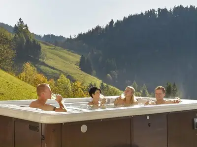 Bauernhof für 4 Personen (40 m²) in Schladming 6/10