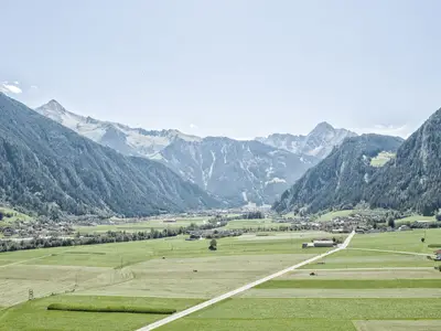 ViewSummer
