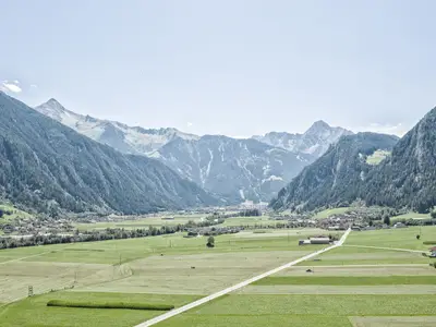 ViewSummer