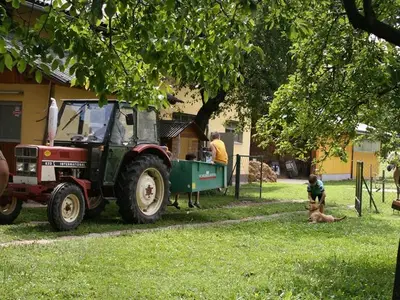 Bauernhof für 4 Personen (20 m²) in St.Kanzian am Klopeiner See 2/10