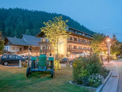 Bauernhof für 4 Personen (20 m²) in Ledenitzen 9/10