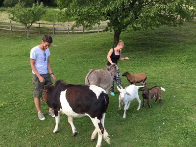 Bauernhof für 4 Personen (20 m²) in Ledenitzen 10/10