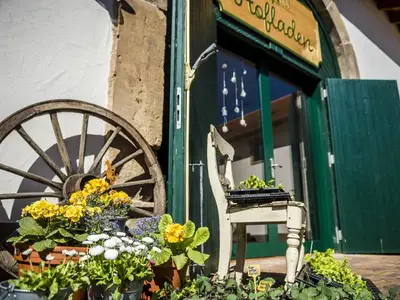 Bauernhof für 2 Personen (23 m²) in Wadern 2/10