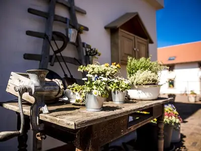 Bauernhof für 2 Personen (23 m²) in Wadern 4/10