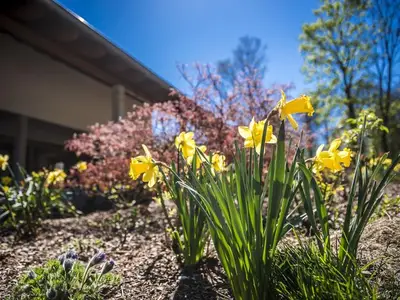Bauernhof für 2 Personen (23 m²) in Wadern 5/10